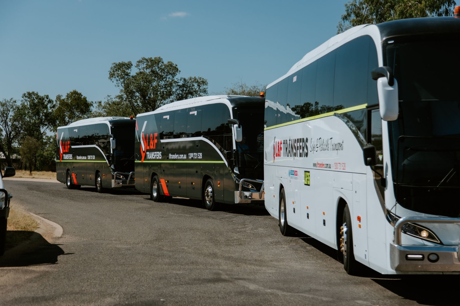 A lineup of L&F Transfers buses / luxury coaches