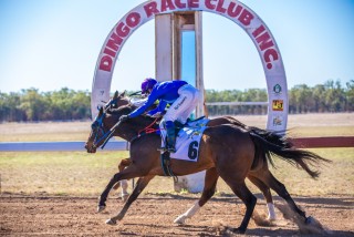 Dingo Race Day: Top Tips for a Cracking Time